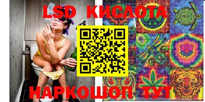 эйфоретик Будённовск